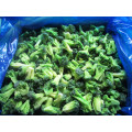New crop IQF Frozen Broccoli organic vegetable frozen vegetables